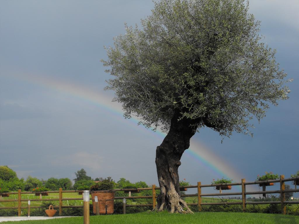 Agriturismo Althea Vittorio Veneto Kültér fotó