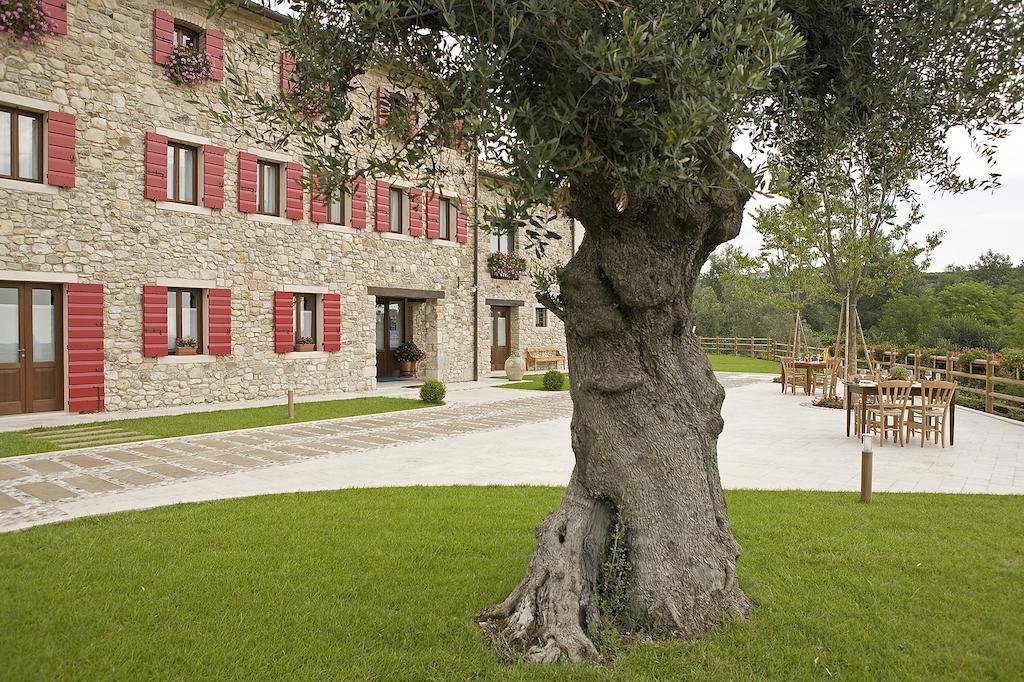 Agriturismo Althea Vittorio Veneto Kültér fotó