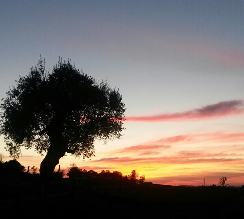 Agriturismo Althea Vittorio Veneto Kültér fotó